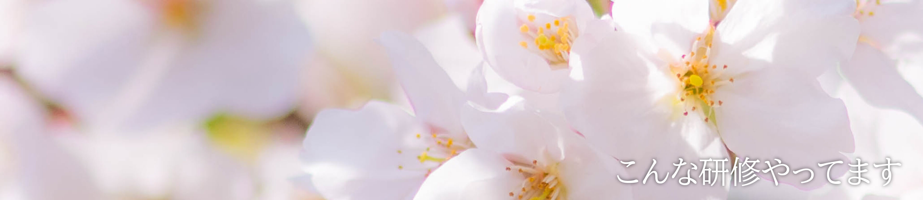 こんな研修やってます